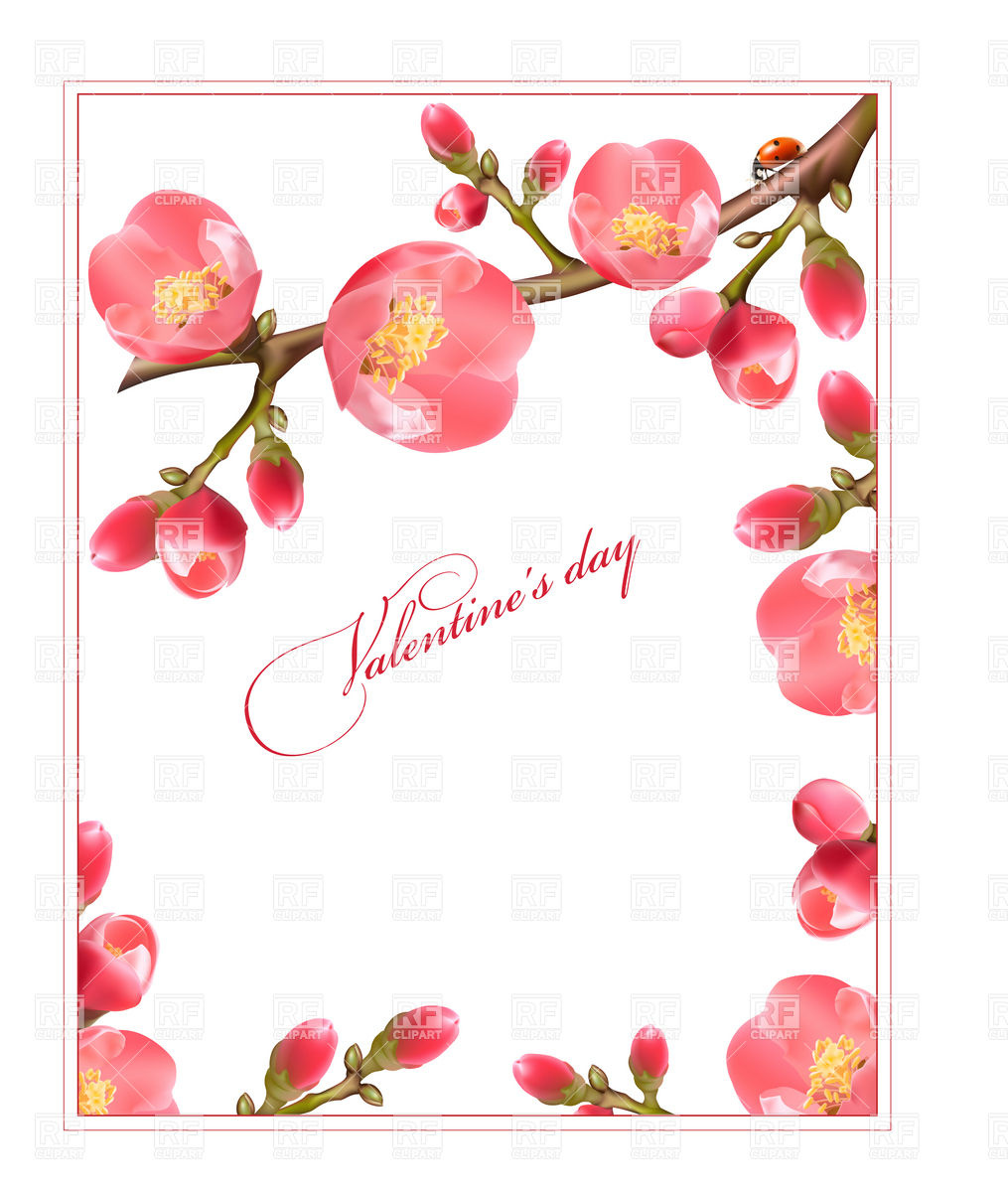 1015x1200 Spring Flowering Quince Vector Image Of Holiday Ivelly
