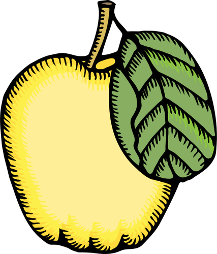 427x500 Vector Image Of Quince