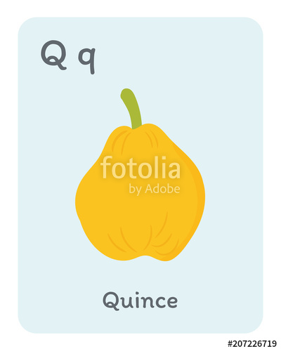 400x500 Vegetable And Fruit English Alphabet Q Letter Quince Vector