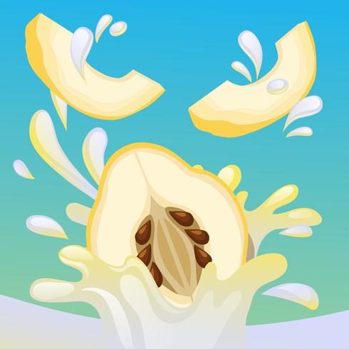 490x490 Quince Splash Vector