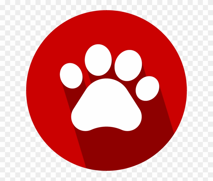 840x714 Pet Accessories