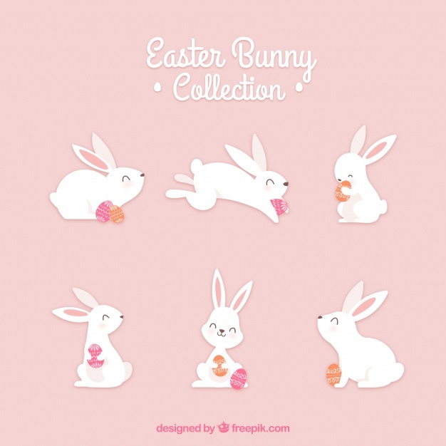 626x626 Rabbit Vectors, Photos And Free Download
