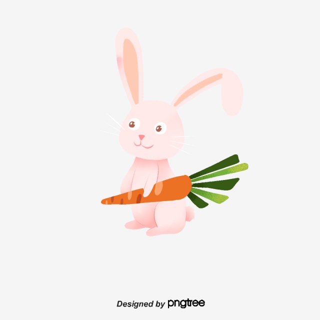 640x640 Vector Rabbit Hold Radish, Rabbit Vector, Rabbit Clipart, Radish