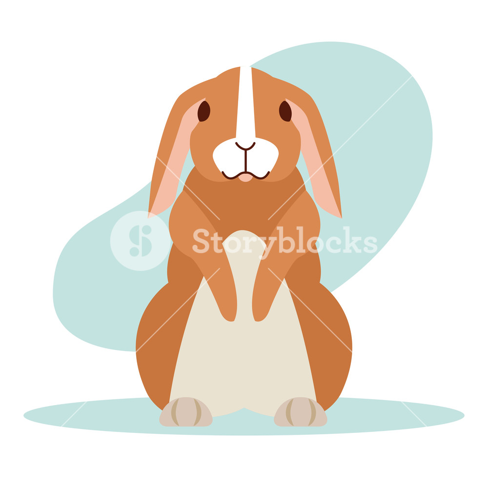 1000x1000 Cute Rabbit Cartoon Animal Vector Illustration Design Vector