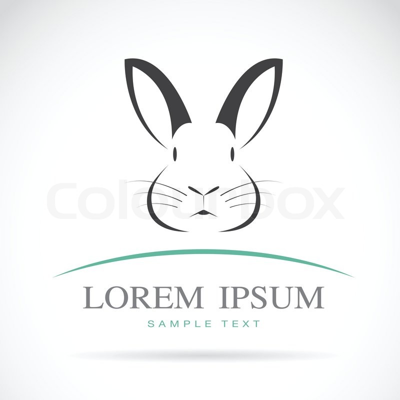 800x800 Vector Image Of An Rabbit On White Stock Vector Colourbox