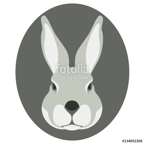 500x500 Rabbit Face Vector Illustration Style Flat Stock Image