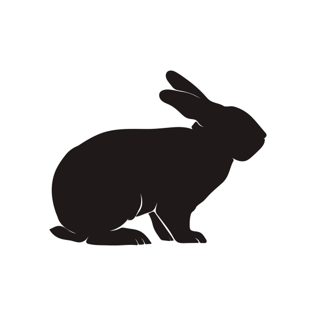 640x640 Rabbit And Bunny Silhouette Vector, Illustration, Spring, Bunny