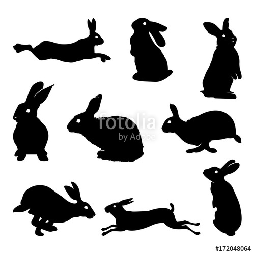 499x500 Rabbit Silhouette Stock Image And Royalty Free Vector