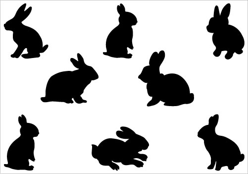 Rabbit Vector