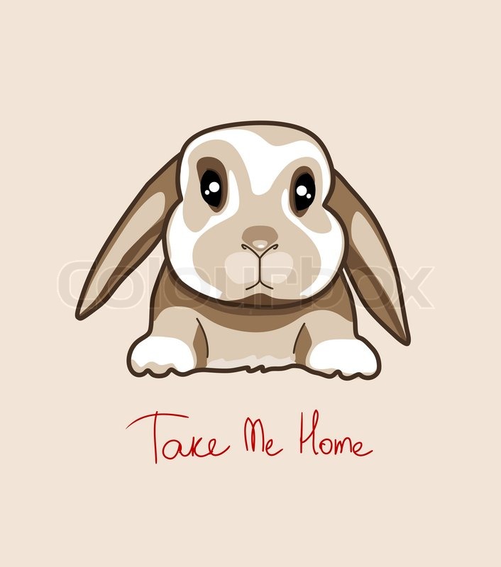 Baby Rabbit, Vector Illustration Stock Vector Colourbox 706x800 Baby Rabbit, Vector Illustration Stock Vector Colourbox