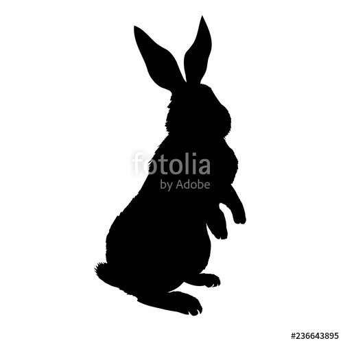 Rabbit Silhouette 500x500 Rabbit Silhouette