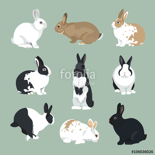 500x500 Easter Bunny Vector Illustration Rabbits Set In Retro Color Style