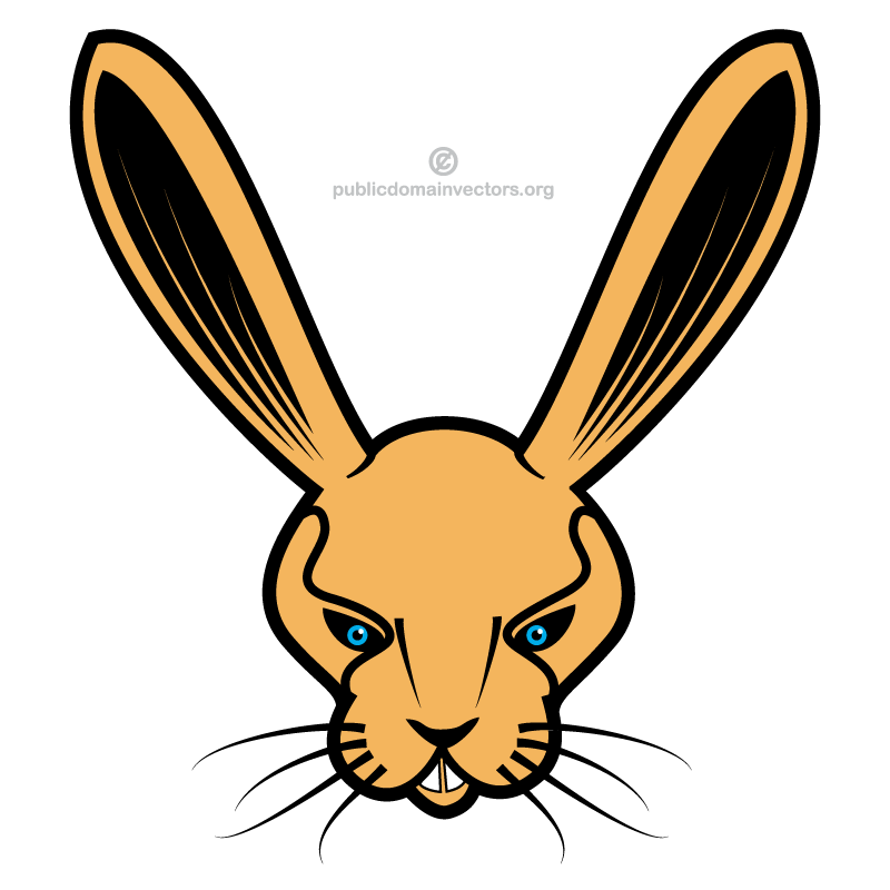 800x800 Free Rabbit Vector Art