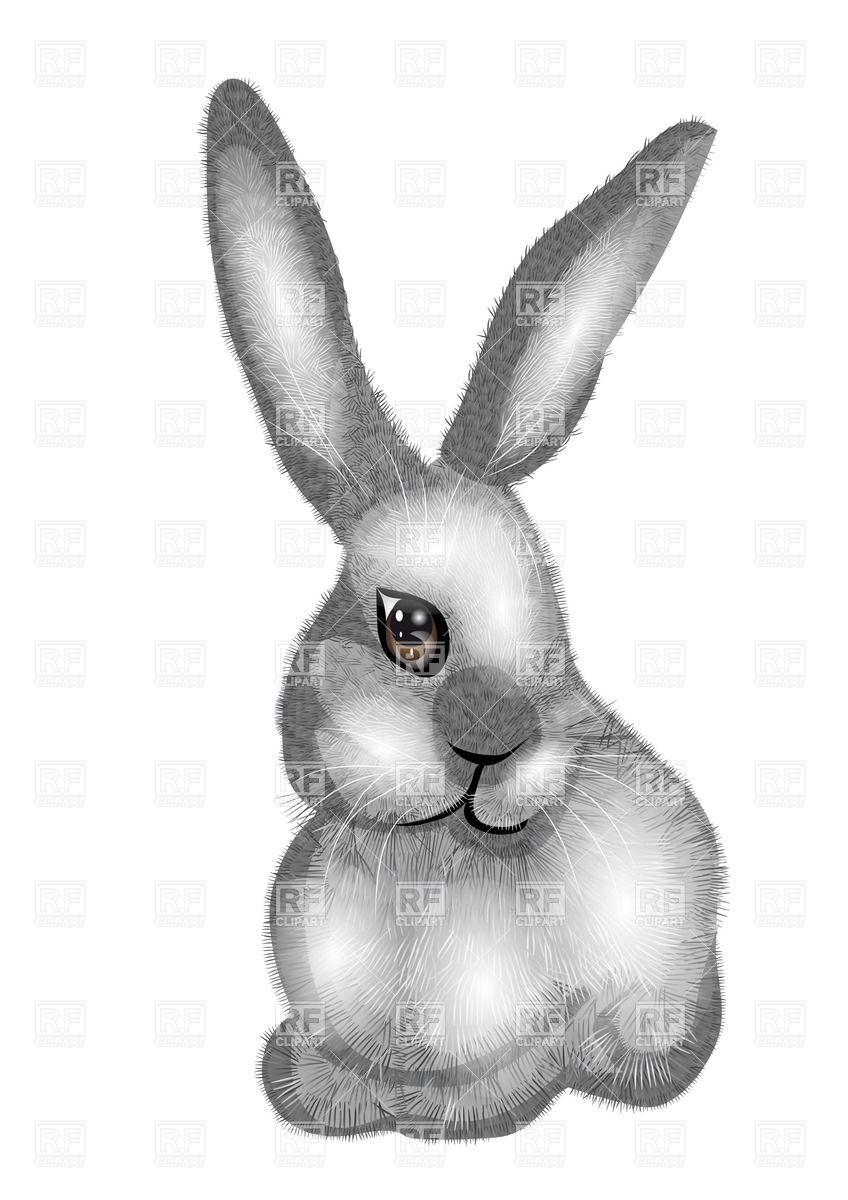 848x1200 Grey Rabbit Vector Image Of Plants And Animals Arkela