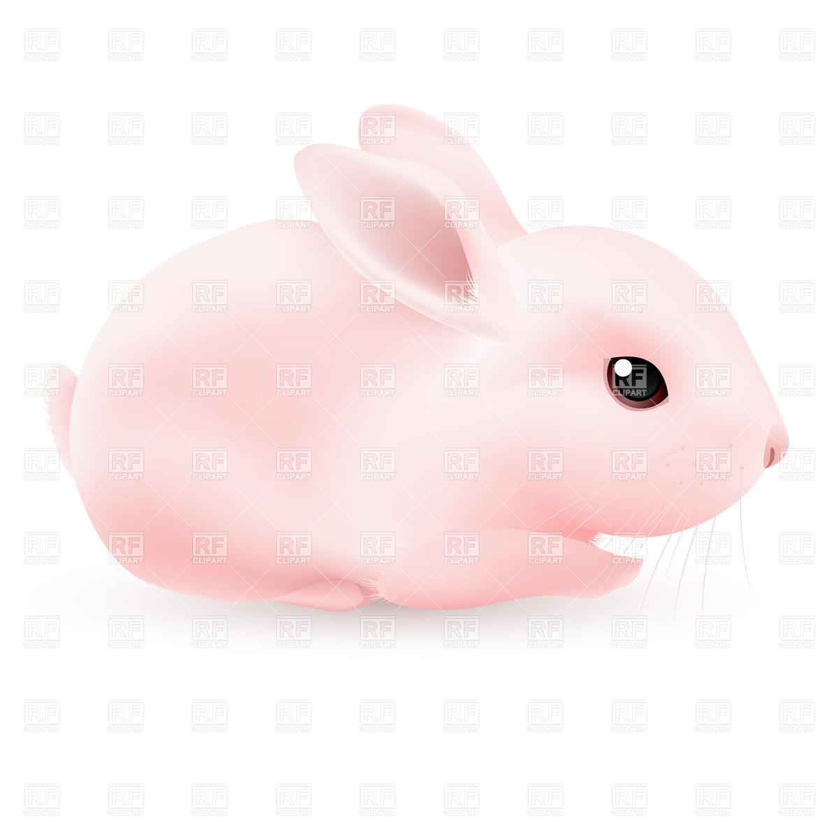 1200x1200 Pink Rabbit Vector Image Of Plants And Animals Dvarg