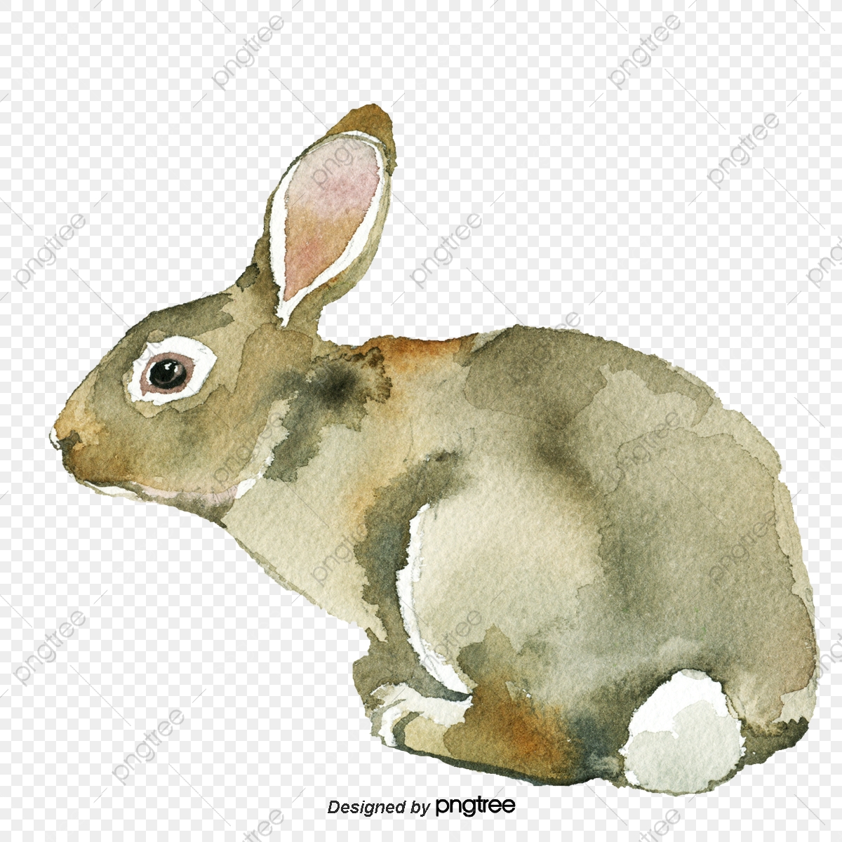 1200x1200 Watercolor Cute Rabbit Vector, Cute Rabbit, Watercolor, Hand