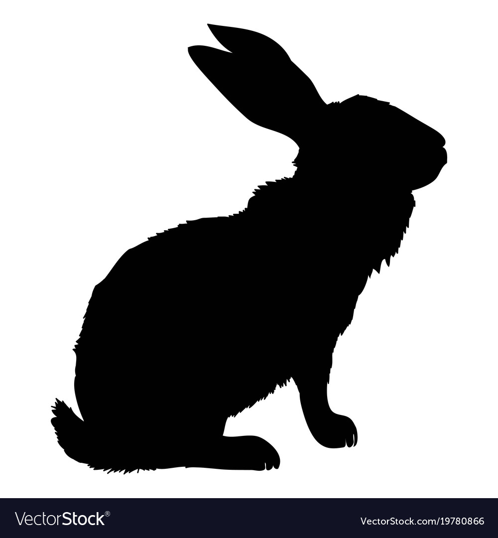 1000x1080 Collection Of 'rabbits Silhouette' Download More Than Images