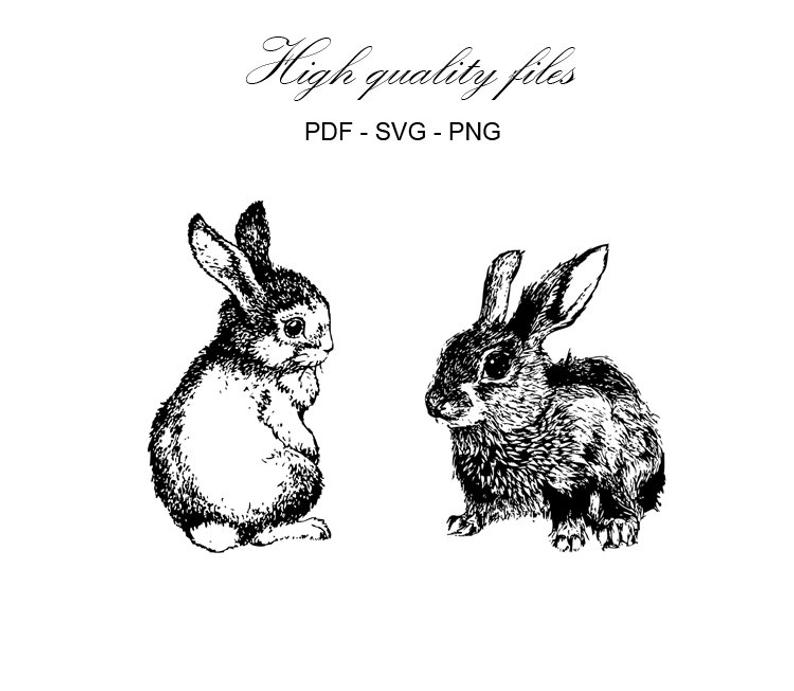 794x691 Rabbit Vector Illustration Drawing Eastern Etsy