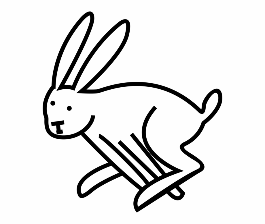 920x780 Vector Illustration Of Small Mammal Bunny Rabbit Free Png Images