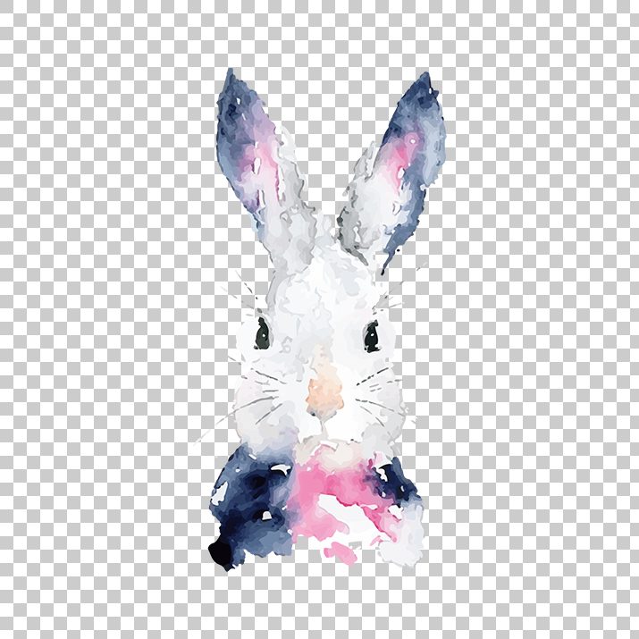 715x715 Vector Rabbit Watercolor Png Image Free Download