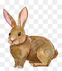 260x297 Watercolor Cute Rabbit Vector, Cute Rabb