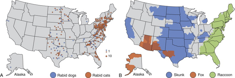 Rabies Vector at Vectorified.com | Collection of Rabies Vector free for