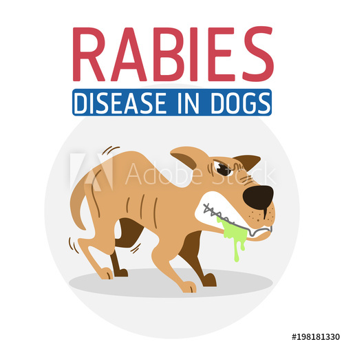 Rabies Vector at Collection of Rabies Vector free for