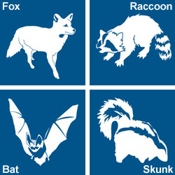 250x250 St Lawrence County Government