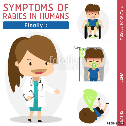 500x500 Symptoms Of Rabies In Humans Set Stock Image And Royalty Free