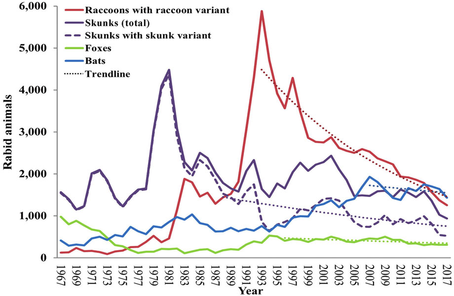 920x601 Wild Animals Rabies In U S Rabies Cdc
