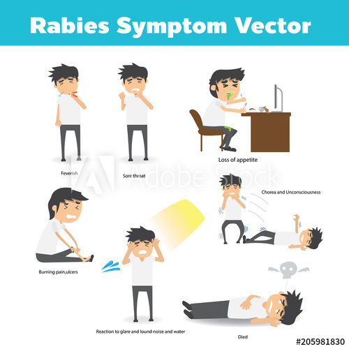 Rabies Vector at Collection of Rabies Vector free for