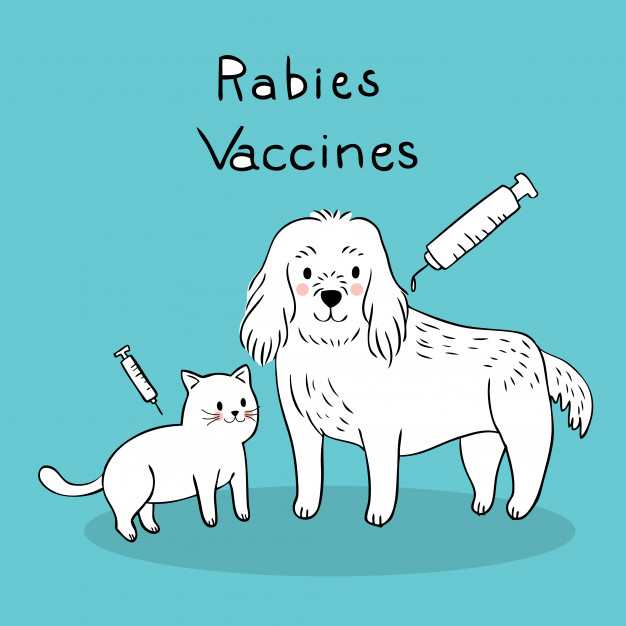 Rabies Vector At Collection Of Rabies Vector Free For Personal Use 5227