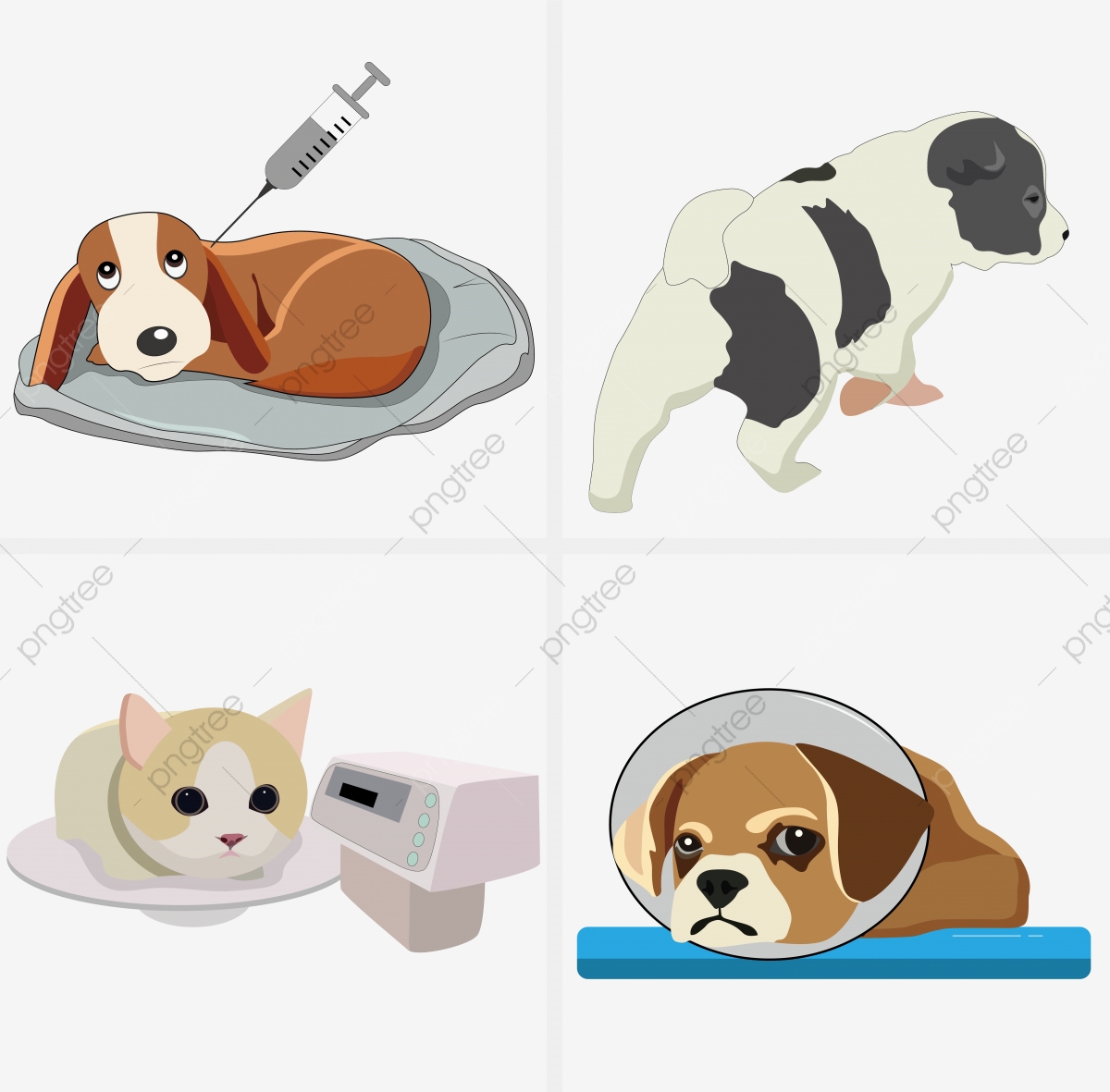 1200x1181 Hand Painted Pet Cat And Dog Prevention Of Rabies, Pet Disease