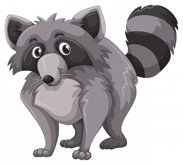 626x567 Gray Raccoon With Happy Face Vector Free Download