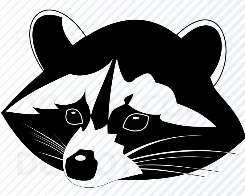 Download Raccoon Face Vector at Vectorified.com | Collection of ...