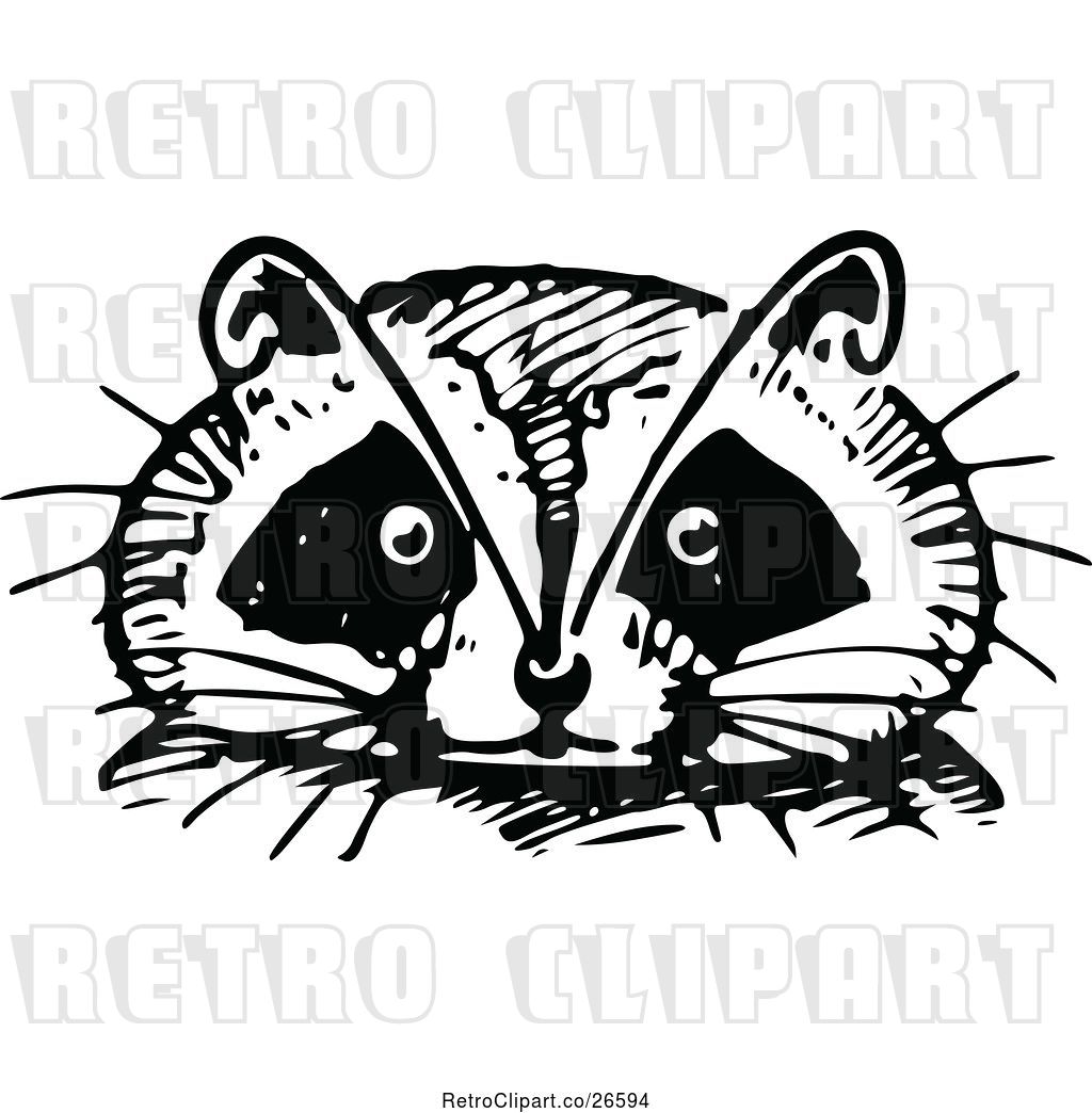 1024x1044 Vector Clip Art Of Retro Raccoon Face
