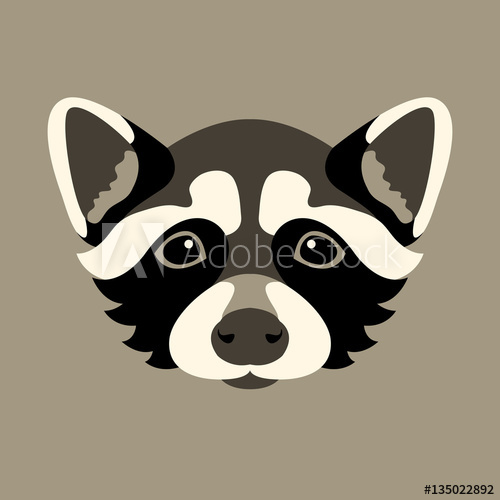 500x500 Raccoon Head Face Vector Illustration Style Flat