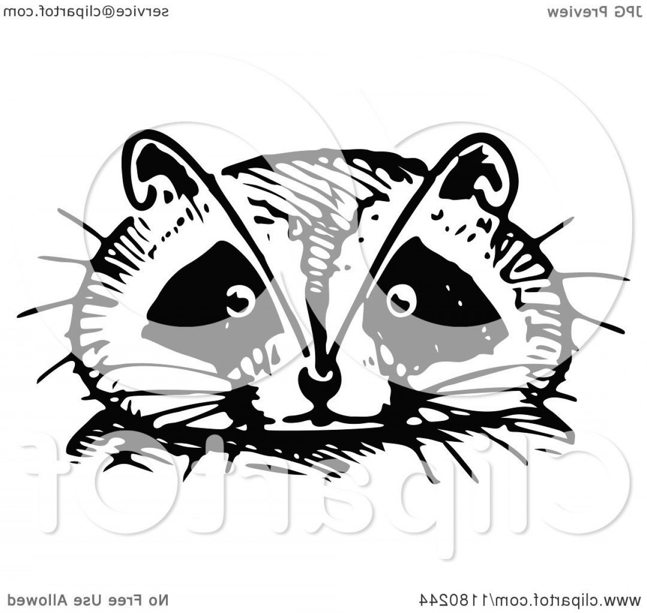 1296x1228 Digging Raccoon Vector Art Catchsplace