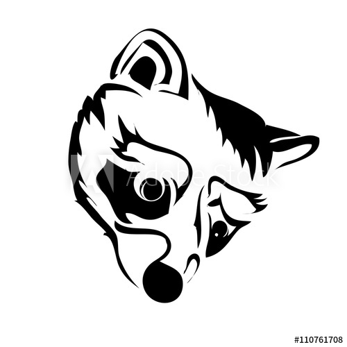 500x500 Funny Raccoon Outline Face Vector Illustration Can Be Use For L