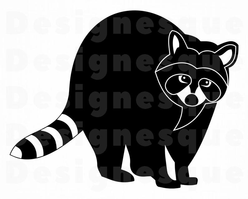 794x635 Raccoon Raccoon Raccoon Clipart Raccoon Etsy