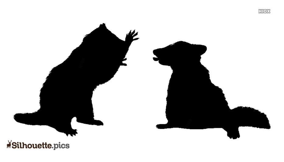 Download Raccoon Silhouette Vector at Vectorified.com | Collection ...