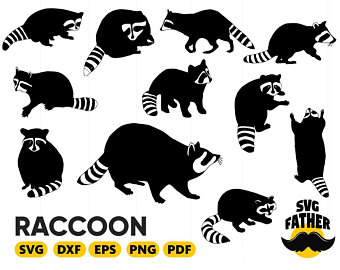 Download Raccoon Silhouette Vector at Vectorified.com | Collection ...