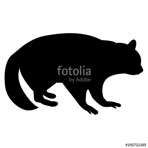 Download Raccoon Silhouette Vector at Vectorified.com | Collection ...