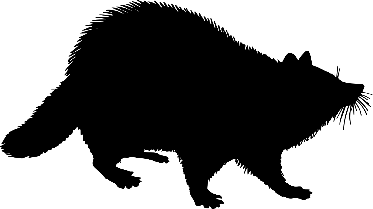 1246x698 Free Raccoon Silloutte Clipart Png And Cliparts For Free Download