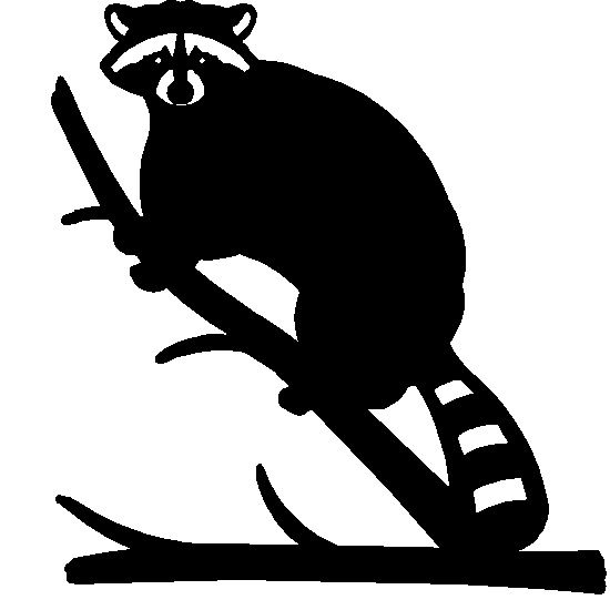 550x550 Image Result For Raccoon Silhouette Transfer Crafts