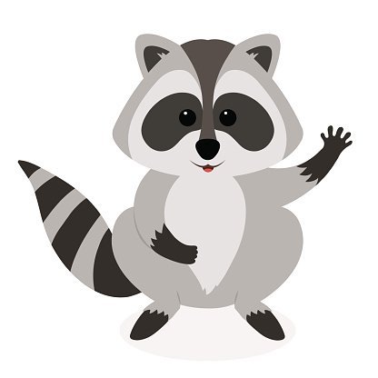 Raccoon Vector