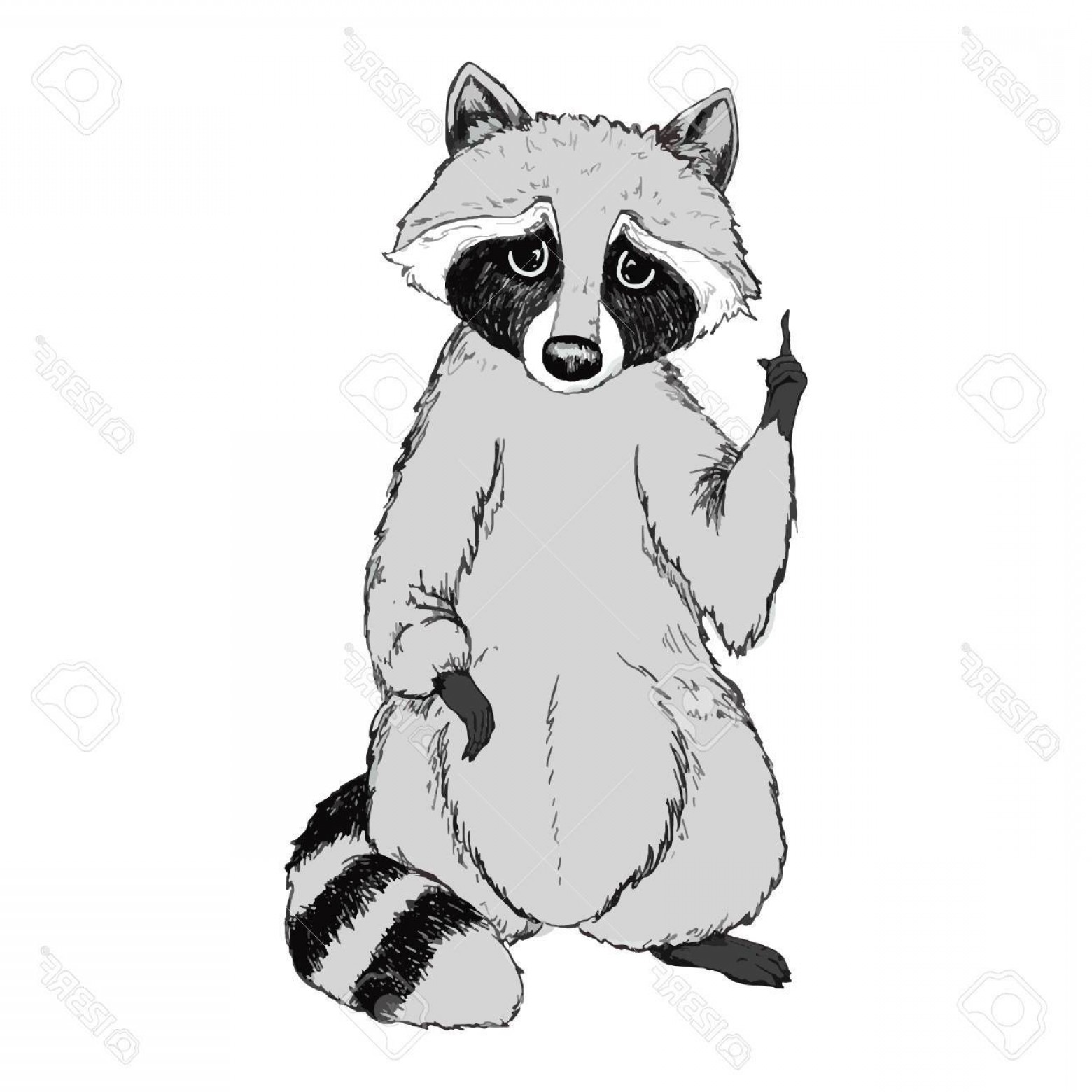 Raccoon Vector At Collection Of Raccoon Vector Free For Personal Use 6099