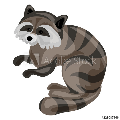 500x500 Raccoon Icon Cartoon Of Raccoon Vector Icon For Web Design