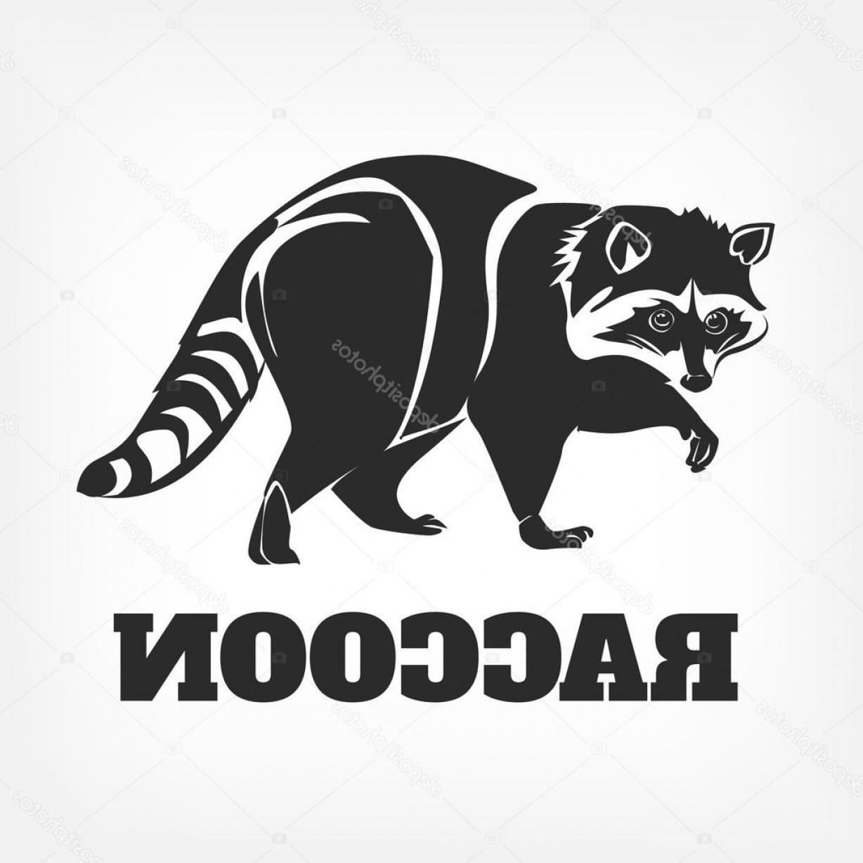 1228x1228 Stock Illustration Vector Raccoon Black Illustration Soidergi