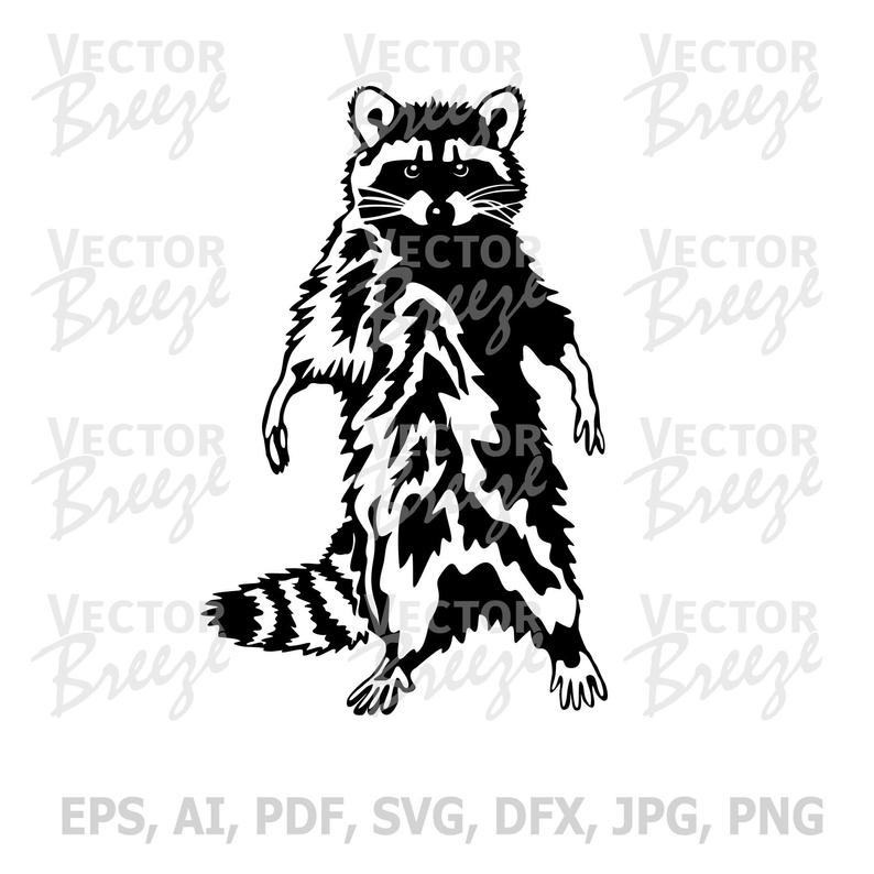 794x794 Funny Cute Raccoon Vector Original Illustration Graphic Etsy